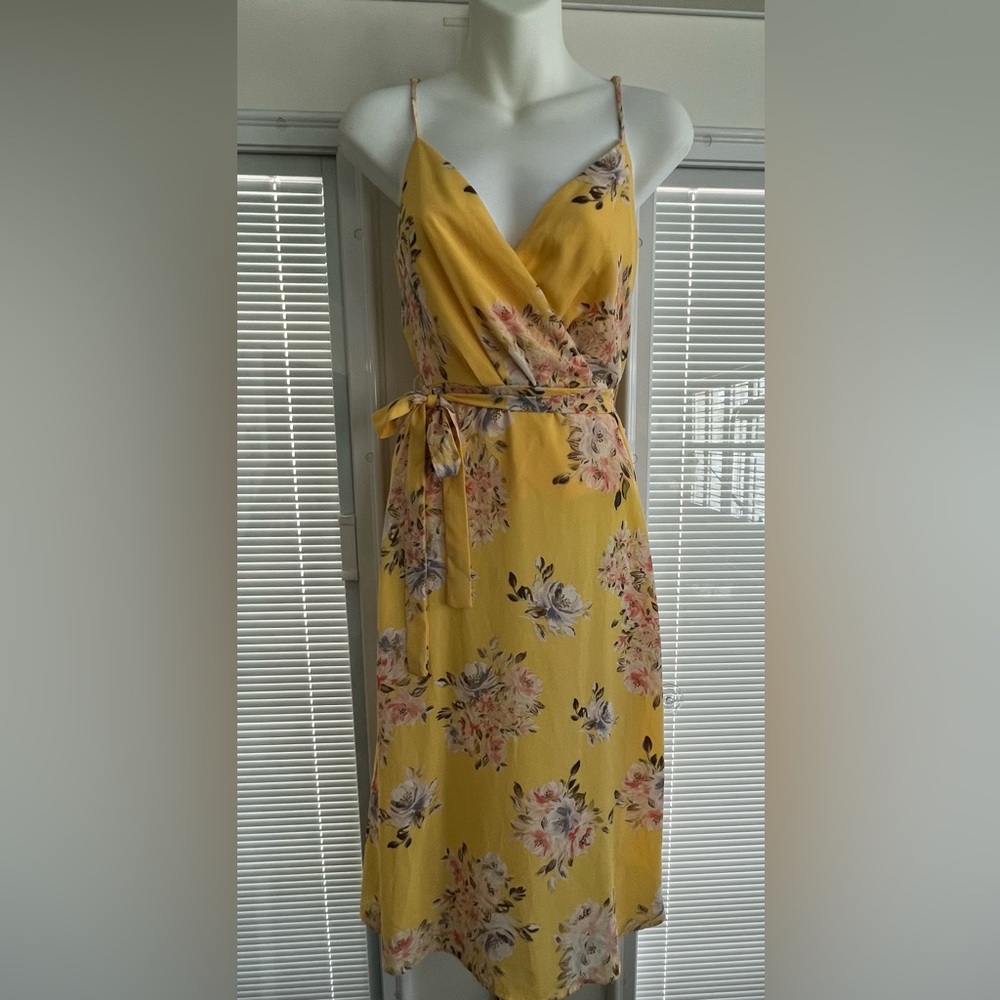Francesca’s Mi Ami Womens Sun Dress Size XXS Yellow Floral Print Sheer Spring